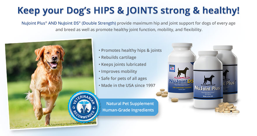 nujoint-plus-and-nujoint-ds-supplements