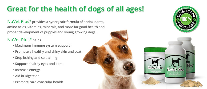 nuvet-plus-pet-supplements-vet-recommended